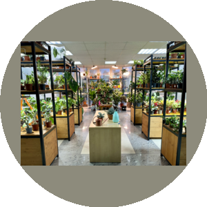 Ботанический проект