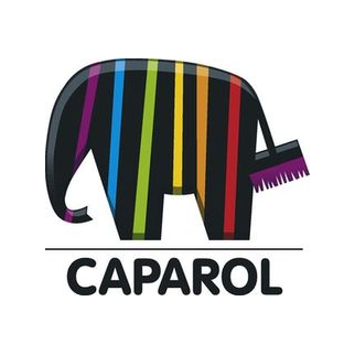 Caparol, Группа компаний