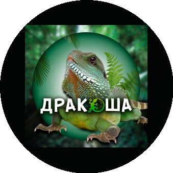 Тихонова Алла Владиславовна