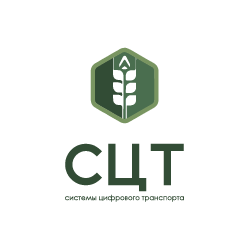 Системы Цифрового Транспорта