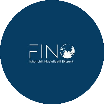 FINO Consulting / GO-Degree Solutions