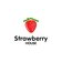 STRAWBERRY HOUSE AGRO