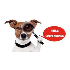 Иванишина Елена Ивановна