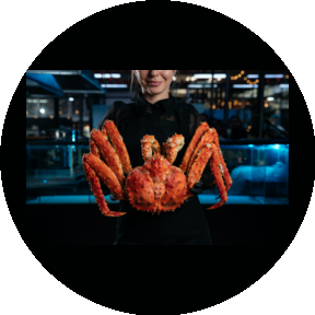 Крабы Сифуд Бар