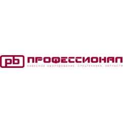Профессионал