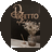 Perfetto Dental Studio ( )