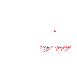 Одонтология