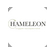 Hameleon, ������ �������