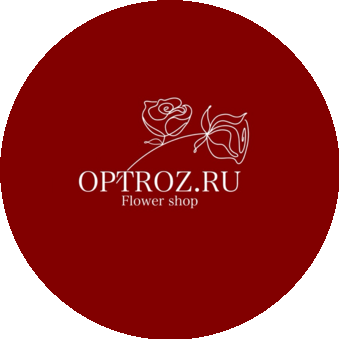 OPTROZ.RU