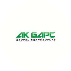 Ак Барс, Дворец единоборств