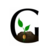 GRAIN
