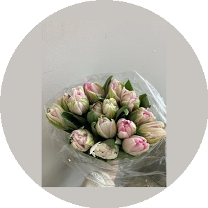 Зберановский Игорь Александрович