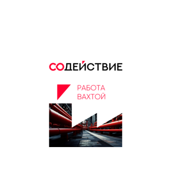 ЧАЗ Содействие