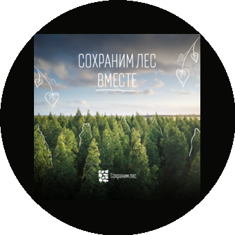 Новая Транспортная Компания