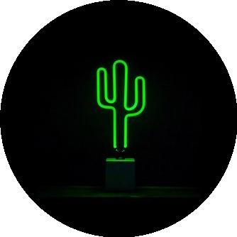 Taco Project (ИП Лопухов Михаил Александрович)