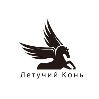 ОсОО Фей Ма