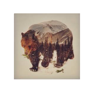 Бондарь Денис Анатольевич