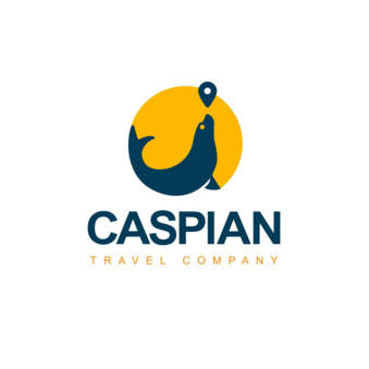 Caspian Travel Company, Авиатурагентство