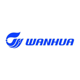 Ваньхуа Боршодкем Рус