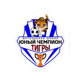 Футбольная школа️ Юный Чемпион