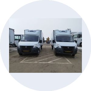 Эсэйчджи Логистика