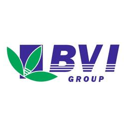 БиВиАй групп