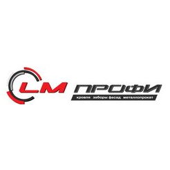 ЭлэмПрофи, ЧП