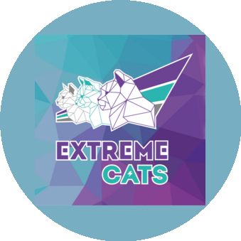 Стяжкина Наталья Ивановна