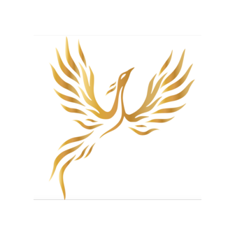 Открытый университет Симург