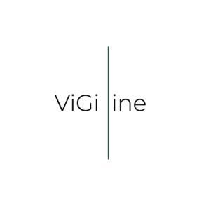 VIGI LINE LLC