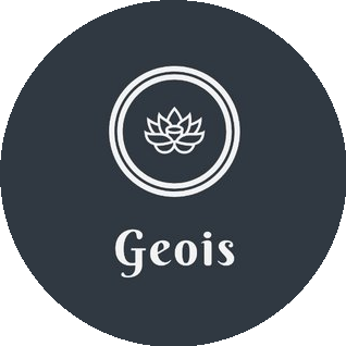 GeoisX