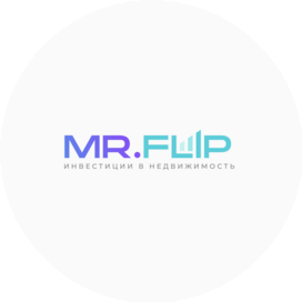 Mr.Flip