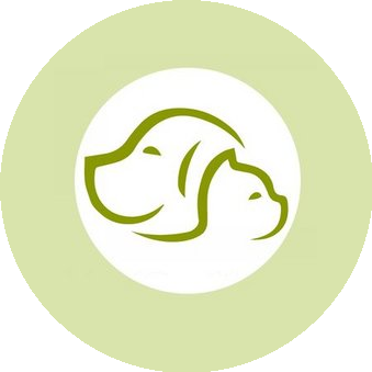 ВетДокГомель, ЧП