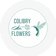 COLIBRY FLOWERS