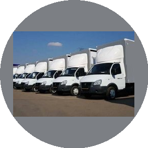 Адэль Карго