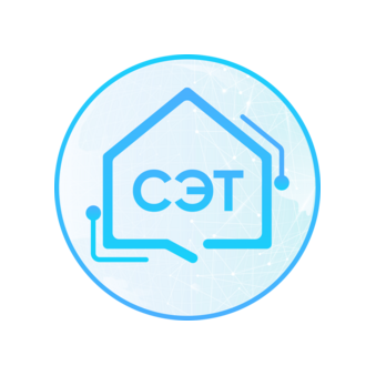 Сетевые Энерго Технологии