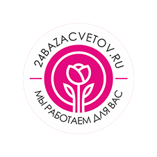 База цветов 24