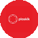 PLASKIK (�� ������� ������ �������������)
