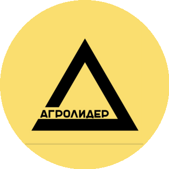 Авсеев Руслан Витальевич