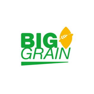 Биг Грэйн