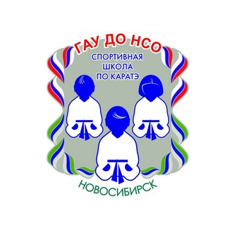 ГАУ ДО НСО Спортивная школа по каратэ