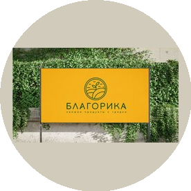 Раздобреева Яна Витальевна