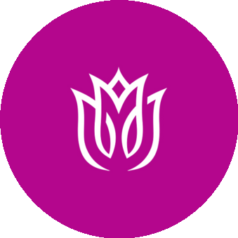 7 Тюльпанов