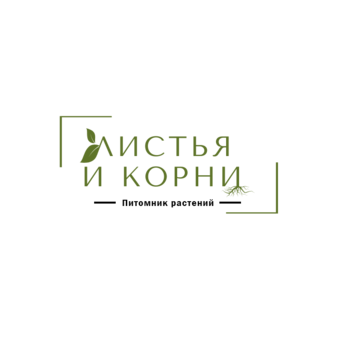 Листья и корни