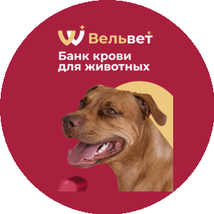 Ветеринарный Банк Крови