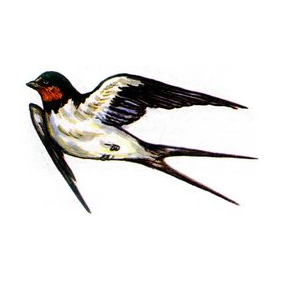 МБДОУ ДС № 457 г. Челябинска