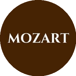 Оконечников А.П.