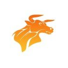 EL TORO SYSTEMS FZC LLC