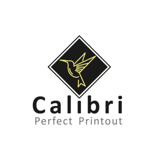 ЧП CALIBRI PERFECT PRINTOUT