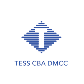 Тэсс Сибиэй Дмсс